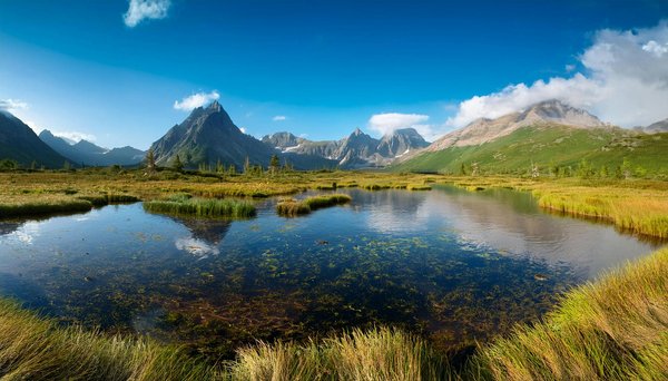 Comment organiser une croisière pour découvrir les récifs coralliens des Maldives?